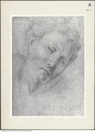 Vorderseite von bh386633_recto