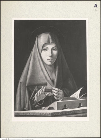 Vorderseite von bh386982_recto