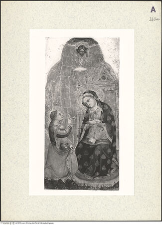 Vorderseite von bh386996_recto