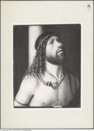 Vorderseite von bh387012_recto