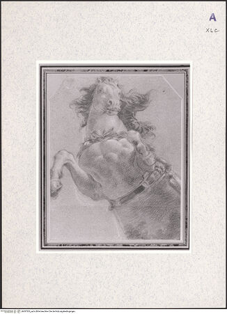 Vorderseite von bh387505_recto