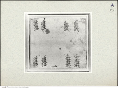 Vorderseite von bh387507_recto