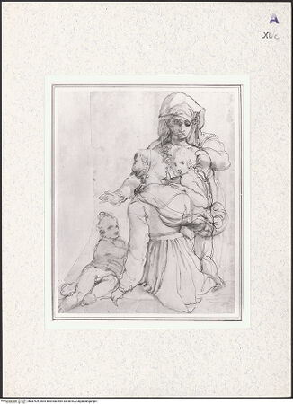 Vorderseite von bh387529_recto