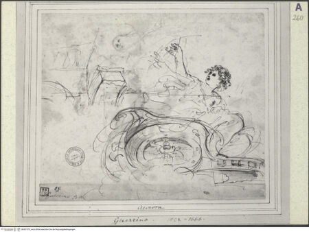 Vorderseite von bh387573_recto