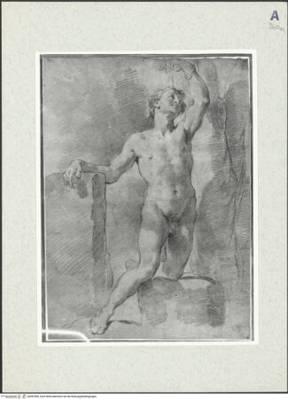 Vorderseite von bh387856_recto