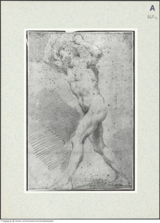 Vorderseite von bh387861_recto