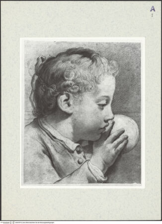 Vorderseite von bh387874_recto