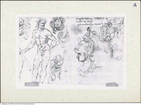 Vorderseite von bh387882_recto