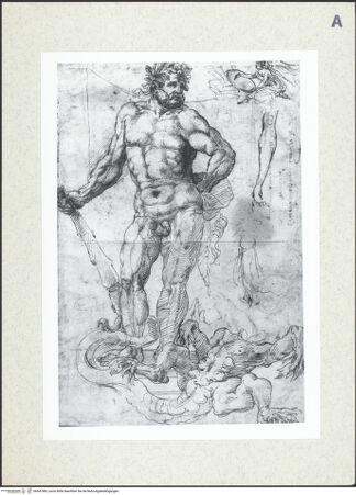 Vorderseite von bh387883_recto