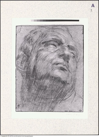 Vorderseite von bh387930_recto