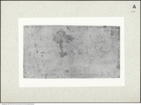 Vorderseite von bh387944_recto