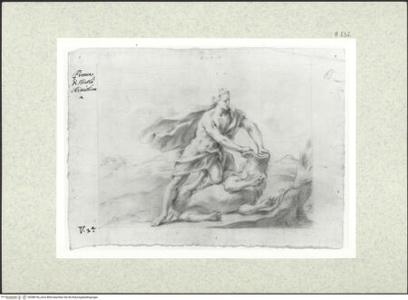 Vorderseite von bh388156_recto