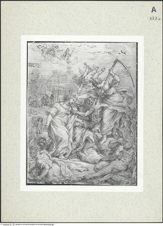 Vorderseite von bh388223_recto