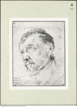 Vorderseite von bh388227_recto