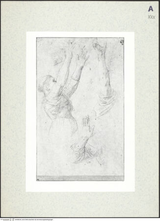 Vorderseite von bh388243_recto