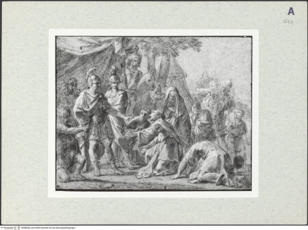 Vorderseite von bh388246_recto