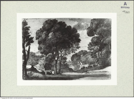 Vorderseite von bh388251_recto