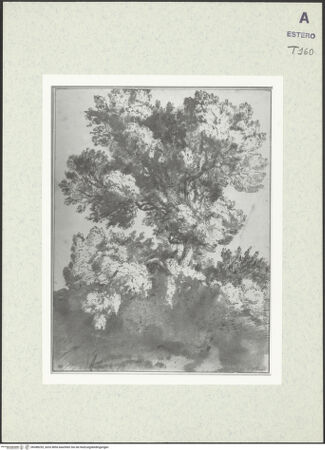 Vorderseite von bh388253_recto