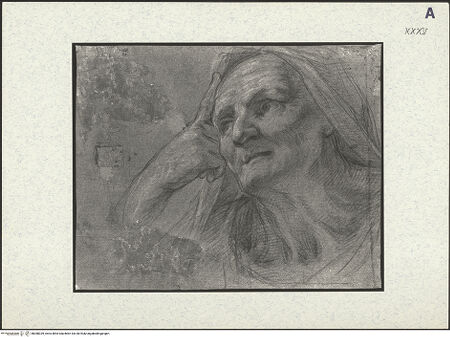 Vorderseite von bh388339_recto