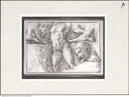 Vorderseite von bh388343_recto