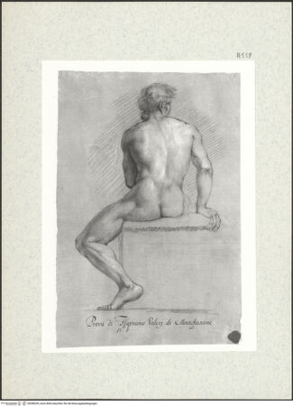 Vorderseite von bh388349_recto