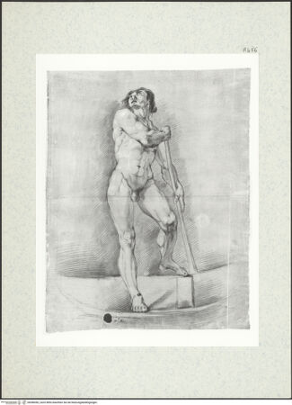 Vorderseite von bh388382_recto