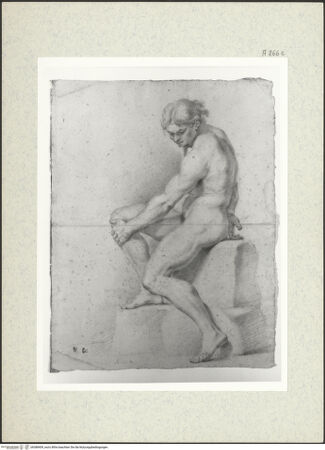 Vorderseite von bh388409_recto