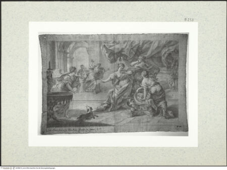 Vorderseite von bh388416_recto