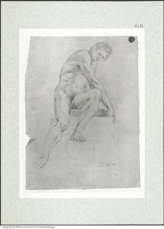 Vorderseite von bh388445_recto