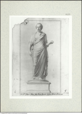 Vorderseite von bh388493_recto