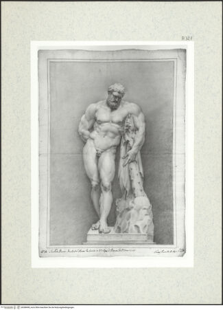 Vorderseite von bh388498_recto