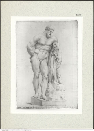 Vorderseite von bh388505_recto