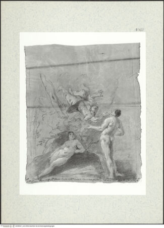 Vorderseite von bh388567_recto