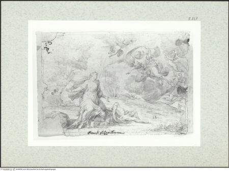 Vorderseite von bh388590_recto