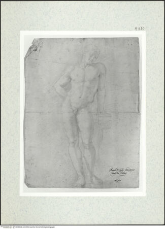 Vorderseite von bh388608_recto