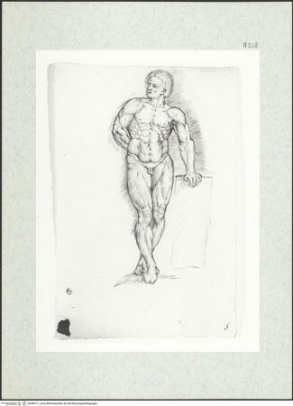 Vorderseite von bh388711_recto