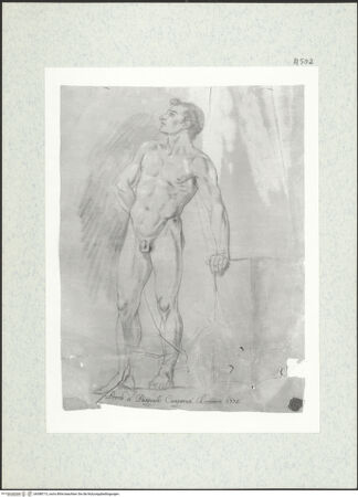 Vorderseite von bh388713_recto