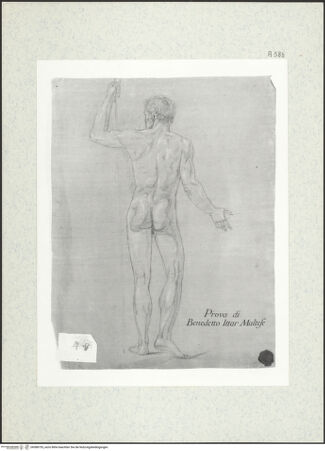 Vorderseite von bh388755_recto