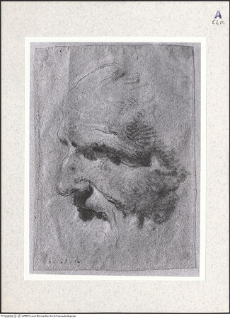 Vorderseite von bh388764_recto