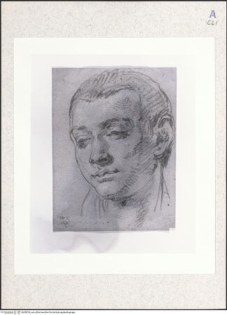 Vorderseite von bh388769_recto