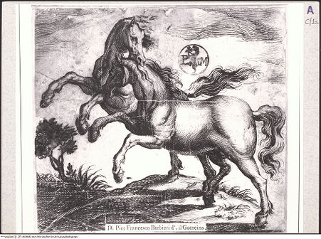 Vorderseite von bh388883_recto