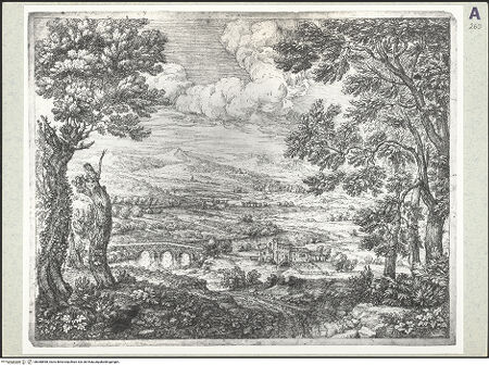 Vorderseite von bh388898_recto