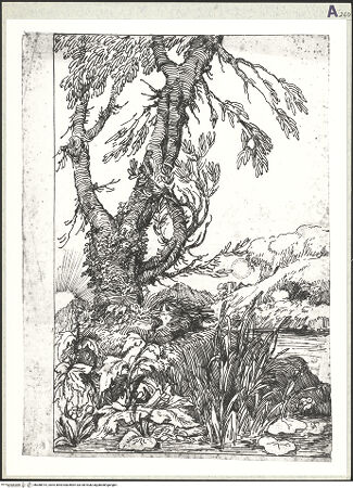 Vorderseite von bh388914_recto