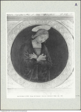 Vorderseite von bh389611_recto