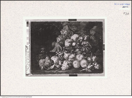 Vorderseite von bh389719_recto