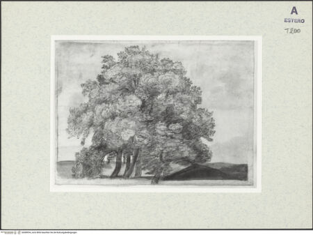 Vorderseite von bh389934_recto