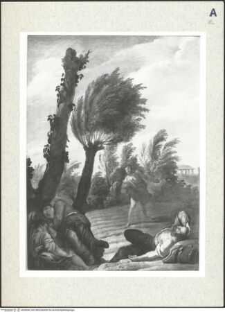 Vorderseite von bh389944_recto