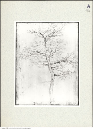 Vorderseite von bh389952_recto