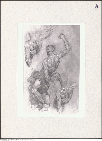 Vorderseite von bh389953_recto