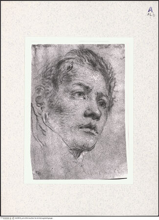 Vorderseite von bh389955_recto